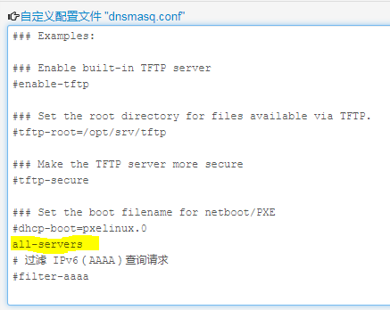 DNS1.PNG